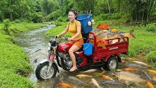 Girl Solo Harvest Fish by water pump: Thousands of Fish Revealed as the Water Drops!