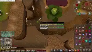 Runescape April Fools 2009 Brassica Prime