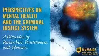 Perspectives on Mental Health and the Criminal Justice System