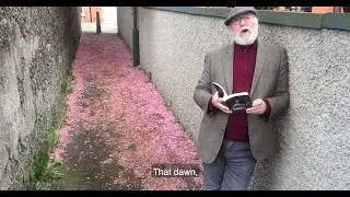 Dermot Bolger - Poetry Day Ireland 2020