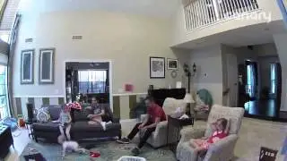 Baby's First Steps - Caught By Canary