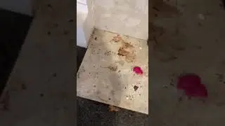 199A Stamfordham Road NE5 check in video 27/12/2024