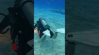 SCDiving | Buoyancy Control is an important scuba diving skill