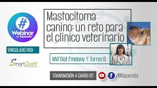 Mastocitoma canino: un reto para el clínico veterinario - MVZ DIPL. Emelany Yazbeth Torres Gomez