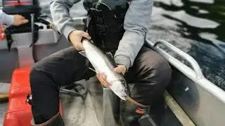 Manapori Lake Trout Trolling| Fishing| fiordland national park!!