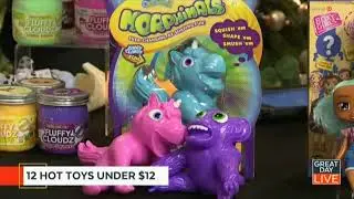 ORB Odditeez Morphimals on CBS Tampa Bay | Toy Insider | Hot Holiday Toys Under $12