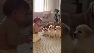 👶Adorable Baby Trains Puppies &mdash; Unbelievably Cute Real Footage 🐶👶❤️