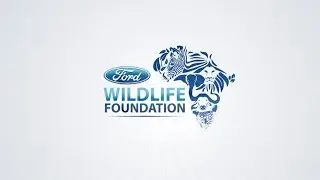 Ford Wildlife Foundation | Green Economy