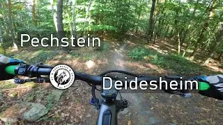 Let's Ride MTB - Pfalz // Deidesheim - Pechstein