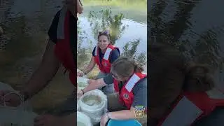 Young Scientists at Work