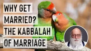 Why Get Married? The Kabbalah of Marriage