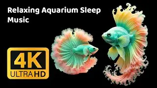 Relaxing Aquarium Sleep Music 🌊 Deep Sleep, Stress Relief & Peaceful Night