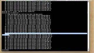 Shell Commands Volume-II (Comment and uncomment lines)