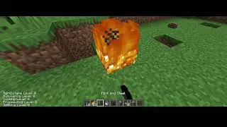 Terrafirmacraft Port! Pitkiln Working!