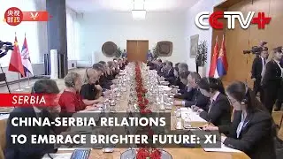 China-Serbia Relations to Embrace Brighter Future: Xi