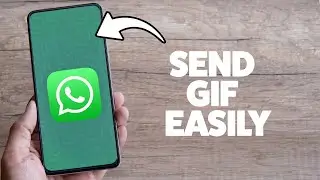 Как отправить GIF-файл в WhatsApp 2025 (iPhone и Android)