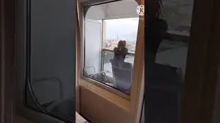 Family Of Four  | Carnival Sunshine Balcony Cabin