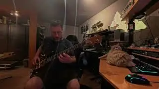 Reggae bass loop solo