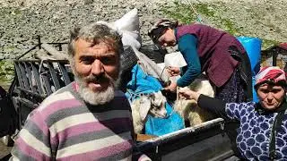 Laz kadını silahsız olmaz!