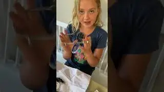 Unboxing Horse Gear