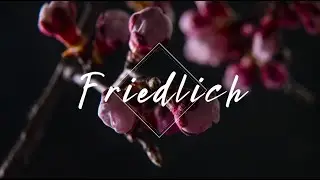 Friedlich -  Lebenspuls Worship | Lyrics video