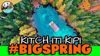 KITCH-ITI-KIPI: Largest Fresh Water Spring in Michigan  | Palms Book State Park