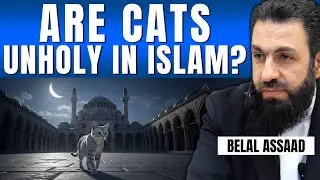Are Cats Unholy in Islam? | Belal Assaad
