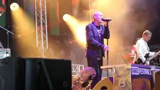 Stipe: REM Tribute Band - Everybody Hurts / Big Fake Festival 2025