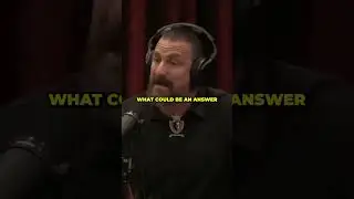 Dr. Andrew Huberman about the positive focus ability of Cannabis | Joe Rogan Experience