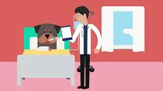 Pet Health Insurance [Illustrate It Video]