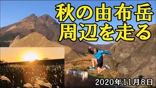 由布岳周辺を走る　2020年11月8日　大分県由布市由布院　RUNランらん