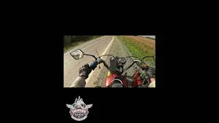 Тормозим на перекус у Курочкино, Алтайский край #shorts #russia #moto #ural #trip #урал #sidecar
