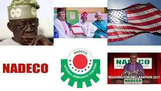 NATIONAL DEMOCRATIC COALITION (NADECO) EXPELS TINUBU, SAYS HS IS A PRODUCTION OF POISONOUS TREE