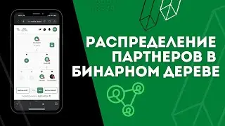 Как распределять партнеров в дереве MaVie Global | Ultron Foundation | WBF Education