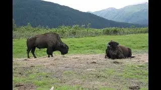 Ecosystems, Habitats, and Biomes