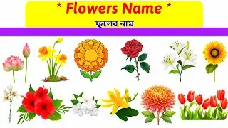 Learn Flowers Name | Flowers Name Vocabulary | Toyshala 