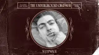 Sleepwalk - Renee Olstead (Male Cover)