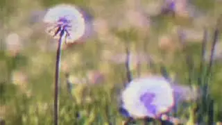 julia wolf - dog house (slowed and reverb)