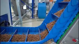 CFAM Aquafeed Extrusion Plant