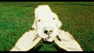 A Man Who Can Draw Dogs