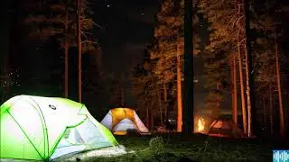Camping Sounds For Sleep | Campfire Ambience | Relaxing Night Camping Under The Stars