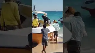 KISH ISLAND Beach Walking Tour 💛 #IRAN 2022 &bull; #People, #Holiday & #Fun 💯 #Shorts #YouTube | KishWalk