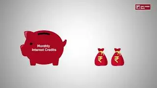 What are Monthly Interest Credits? IDFC FIRST Bank