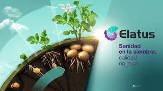 Elatus&reg;; Sanidad durante todas las etapas del cultivo
