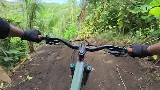 Papis Trail New DH Line