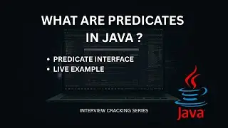 What are Predicates in java ? | How to use predicate interface
