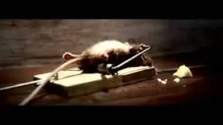 Mouse Trap Survivor Cheese Commercial