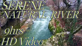 SleepSeries | HD Video 9hrs |💙 Serene Natural River! 💙 Instant Sleep with the Sounds of This River!