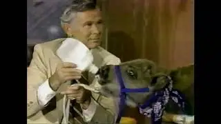 Johnny Carson: Joan Embery bison & bush dog