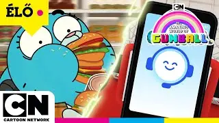 🔴 LIVE: 24/7 ITT AZ ÚJ Gumball-sorozat! | Gumball varázslatosan furcsa világa| @CartoonNetworkHU